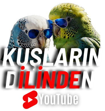 Kuşların Dilinden Logo