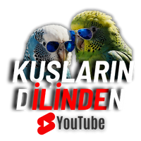 Muhabbet Kuşu Konuşturma Eğitimi, Adım Adım Rehber 2 Adsiz tasarim 3