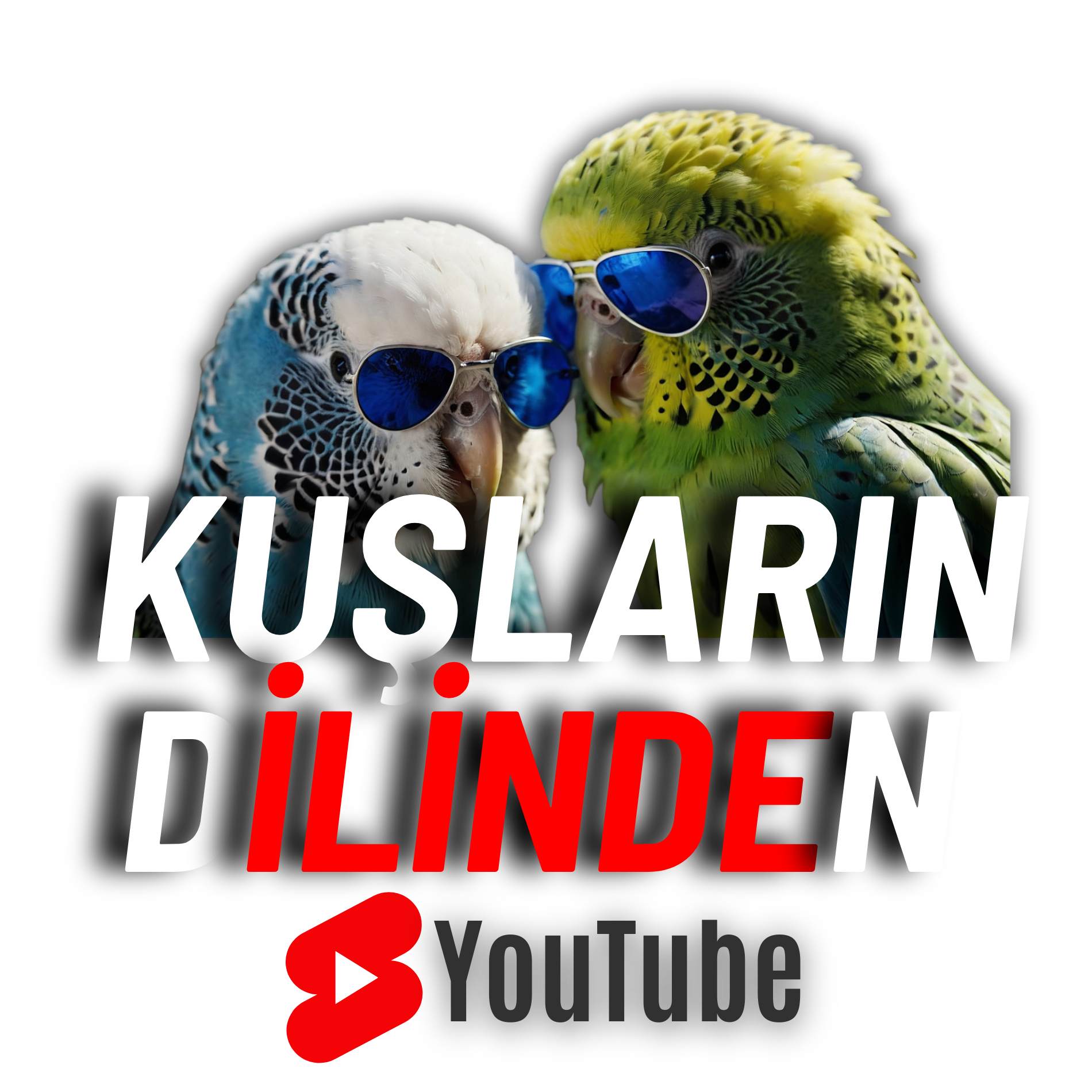 Kuşların Dilinden Logo