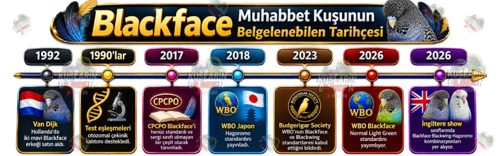 Blackface Muhabbet Kuşu 8 Tarihce WBO Show Standardi Nadirlik ve Turkiye 1024x321 1