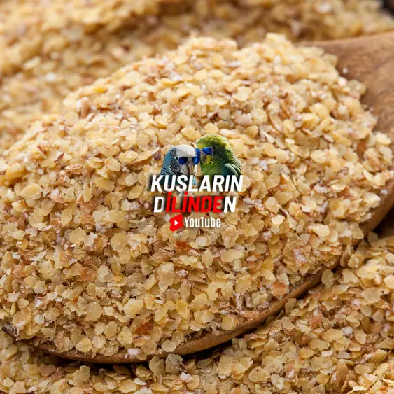 Kuşlarda Buğday Rüşeyminin Faydaları ve Kullanım Yöntemleri